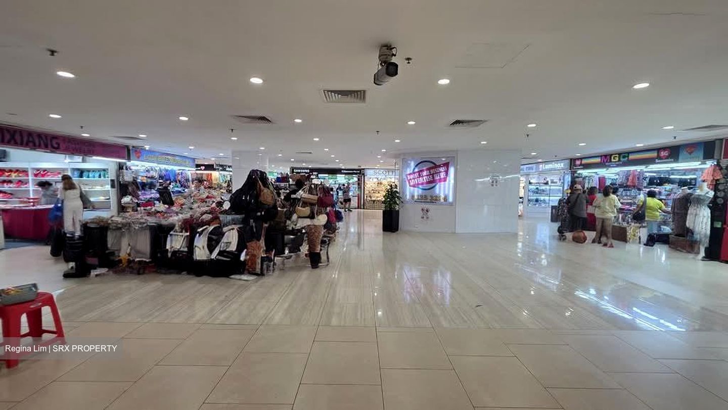 Lucky Plaza (D9), Shop House #558258221